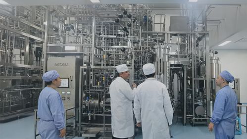 天鶩科技與金賽藥業(yè)攜手實現(xiàn)全球首款經(jīng)大模型設(shè)計蛋白質(zhì)產(chǎn)品的工業(yè)化生產(chǎn)落地